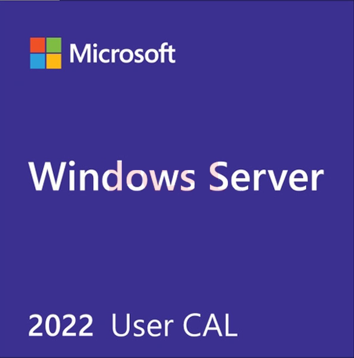Compuzone. LICENCIA CAL PARA WINDOWS SERVER 2022 OEM ESPAÑOL 5 USUARIOS